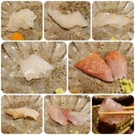 馳走 啐啄一十  - 