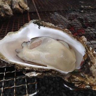 かき小屋 渡波_2