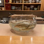 日本料理 かしづき - 