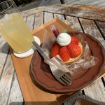 Oranger cafe wood - 三重県産かおり野いちごタルト
