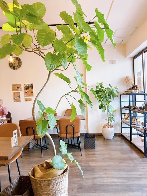 カフェ ジッカ （Cafe JIKKA） - 栂・美木多/カフェ | 食べログ
