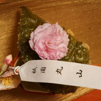 建仁寺 祇園 丸山 - 