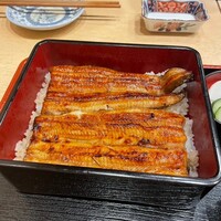 うなぎ割烹 白金台 まつ本 - 