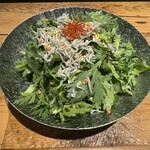 Chassy 札幌 - 生春菊とジャコのチョレギサラダ