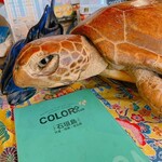 伊良部そば かめ - 