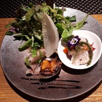 篝日 - 