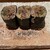 匠 進吾 - 料理写真:刻んだホタルイカ.蕗.木の芽の巻物