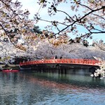 白神飯店 - オマケ・春陽橋