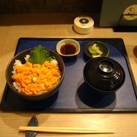 函館うに むらかみ 日本生命札幌ビル店 - 生うに丼ハーフ