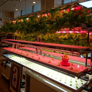 レジェンド101_2