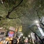 Shibuya Pichiten - 