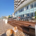 シースケープ テラス・ダイニング - 外観