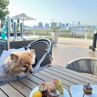 シースケープ テラス・ダイニング - スイーツ充実。マカロン無くなる前に持ってきた。