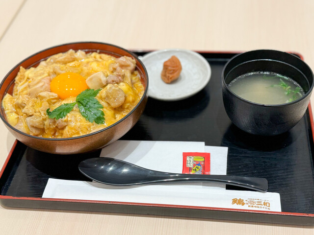 Tori Sanwa Lalaport Aichitogo Ten photo 2