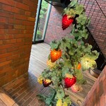 クラブハリエ - 