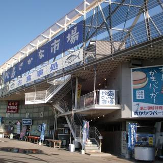 松島さかな市場_2