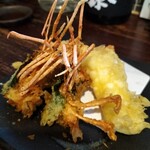 囲坊主 - ボタン海老の半生天麩羅