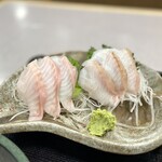 Sashimi Washoku Asahiya - ボウズギンポ