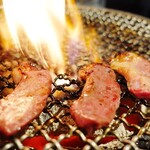 ホルモン しんちゃん - 