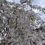 越後湯沢温泉 湯けむりの宿 雪の花 - 