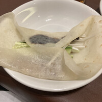 碧麗春 - 