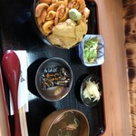 肴 雲丹 まるひら - 