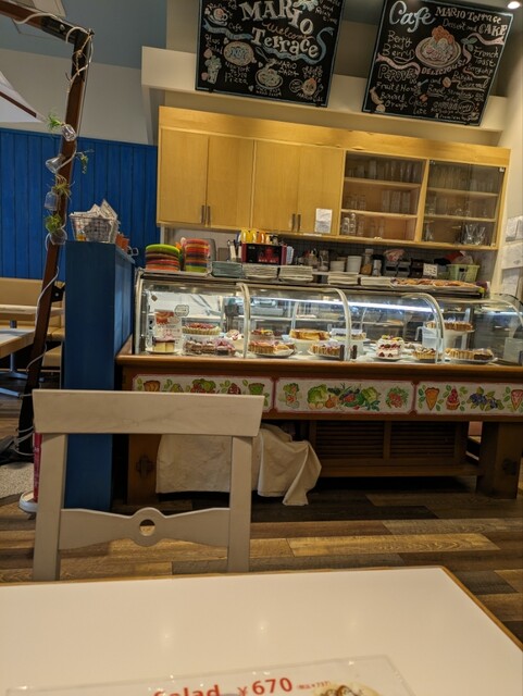 Mario Terrace photo 4