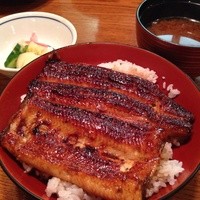 吉寅 - 鰻丼定食♪
