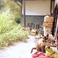 旅舎右馬允 - 