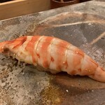 鮨桂太 - クルマエビ