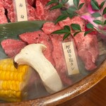 Koube Bifuyakiniku O Katora - 