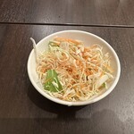 洋食キッチン シャトー - 【2024.4.25(木)】クリーミィミートパスタ（並盛・220g）900円の野菜サラダ