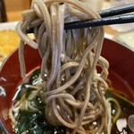 Takanezawa Gyokou Daisukemaru - 蕎麦麺は普通