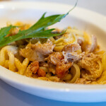 イタリア料理 ベルコルノ - 2024.4 うさぎのイスキア風煮込みのパスタ