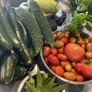 隣りの無農薬農園で野菜作ってます!!