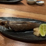 244068763 - カマスの一夜干し　高級な味わい