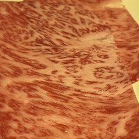 焼肉うしごろ 銀座店 - 