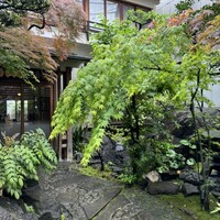 名古屋コーチン・旬菜 一鳳 金山本店 - 
