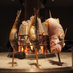 스시 로바타 키타로우즈시 도구야스지 요코초점 - 대토로 고등어 & 노도구로