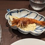 洋食 Matsushita - 