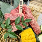 Kuroge Wagyuu Yakiniku Ieyasu - 