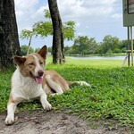 Eastin Thana City Golf Resort - 