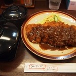 Hirekatsunomisetombun - ひれとんかつ定食 ダブルサイズ