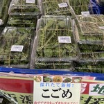 ショッピングセンターのぐち - 山菜いっぱい売ってました！