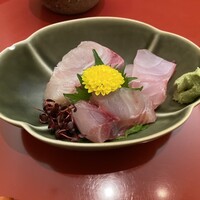 伊豆の旬 やんも 南青山店 - 