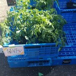 キッチン ブルー グローブ - こちらも大玉トマト