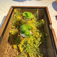 デルフィーナ - 