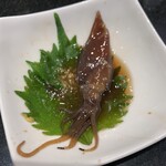 Mawaru Toyamawan Sushi Tama - 