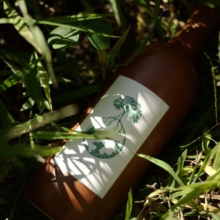 ナチュラルワインをはじめとする多彩なドリンクメニュー