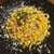 下川六〇酵素卵と北海道小麦の生パスタ 麦と卵 - 料理写真:とうもろこしとベーコンのガーリックバター醤油のパスタ